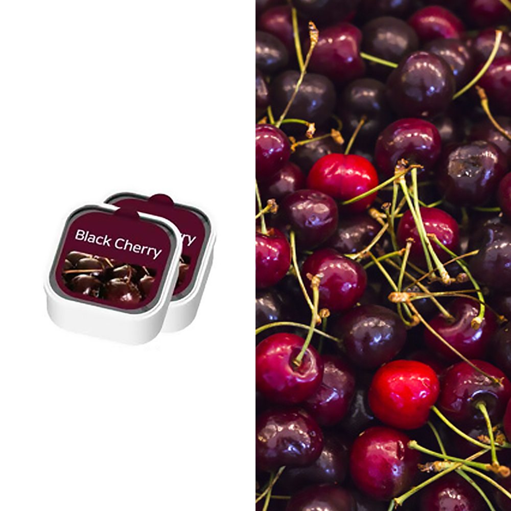 Zunion｜Airtum 專用濾心(黑櫻桃)(2入)